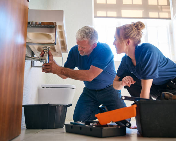 Best Sprinkler Systems  in Newton, MS